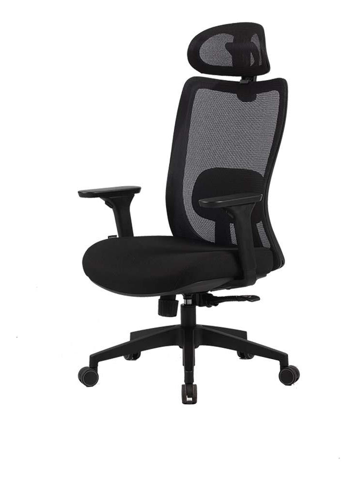 Cadeira Ergonômica De Escritório Astra Pro Preta Elements