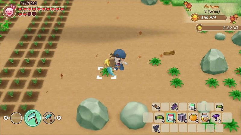 Story Of Seasons Friends Of Mineral Town Switch Midia Fisica