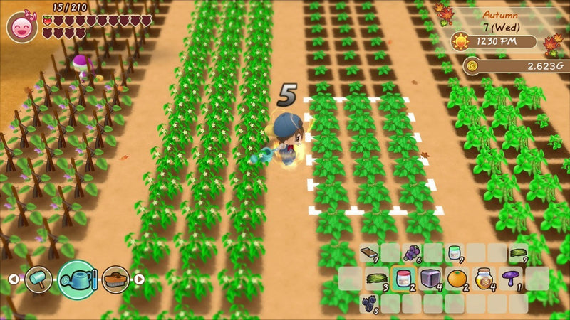 Story Of Seasons Friends Of Mineral Town Switch Midia Fisica