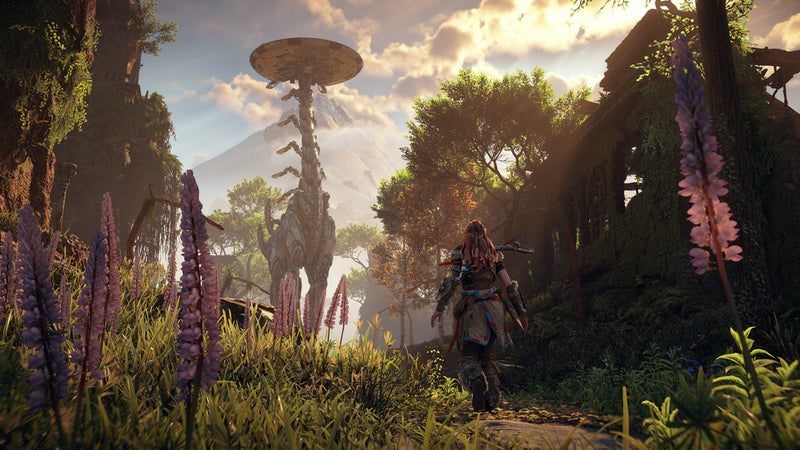 Jogo Ps5 Horizon Zero Dawn Remastered Edition PS5 Midia Fisica
