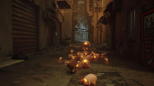 Stray Edição De Lançamento (mídia Física) Switch [eua] Novo